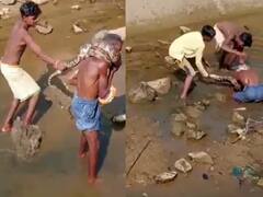 Watch Video: மதுபோதையில் மலைப்பாம்பை எடுத்து கழுத்தில் சுற்றிக்கொண்ட மதுப்பிரியர்.... வீடியோ வைரல்