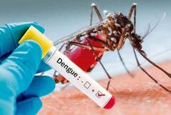 Patiala News: ਪਟਿਆਲਾ 'ਚ ਡੇਂਗੂ ਦਾ ਕਹਿਰ, ਮਰੀਜ਼ਾਂ ਦੀ ਗਿਣਤੀ 600 ਤੋਂ ਟੱਪੀ