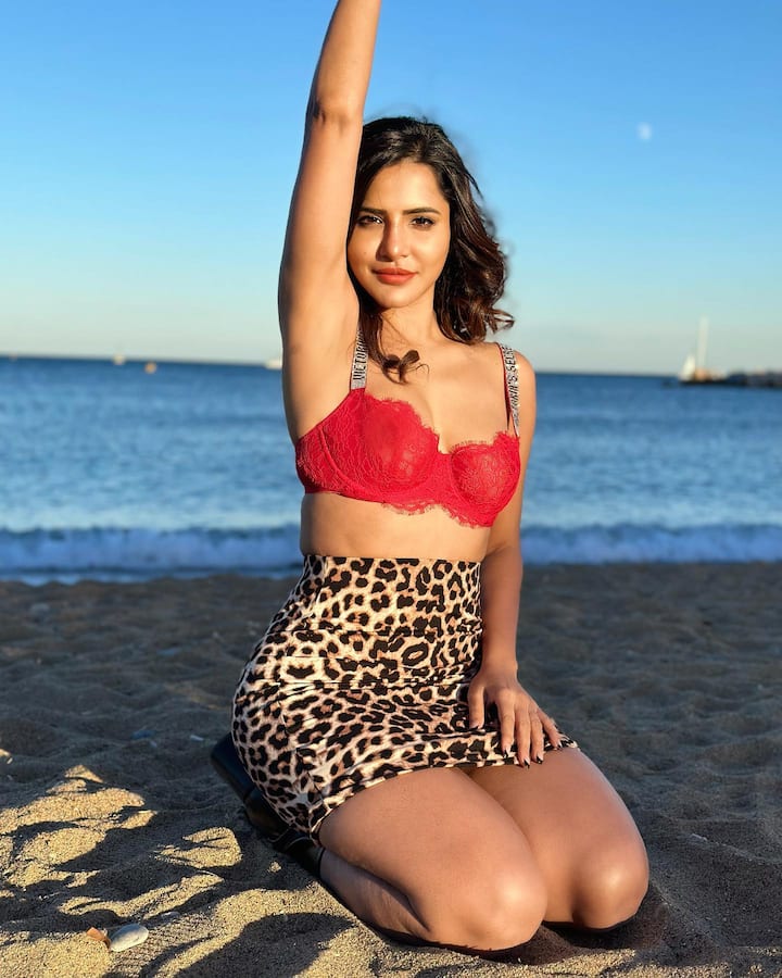 ప్రస్తుతం పలు టీవీ షోలతో పాటు సినిమాల్లోనూ నటిస్తున్నది. Photo Credit: Ashu Reddy/Instagram
