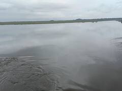 தொடரும் மழை: மதுராந்தகம் ஏரியில் இருந்து 600 கன அடி நீர் வெளியேற்றம்...