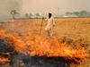 Punjab Stubble Burning: पंजाब में दो महीने में पराली जलाने की 43,144 घटनाएं हुईं दर्ज, 2021 की तुलना में 27% की आई कमी