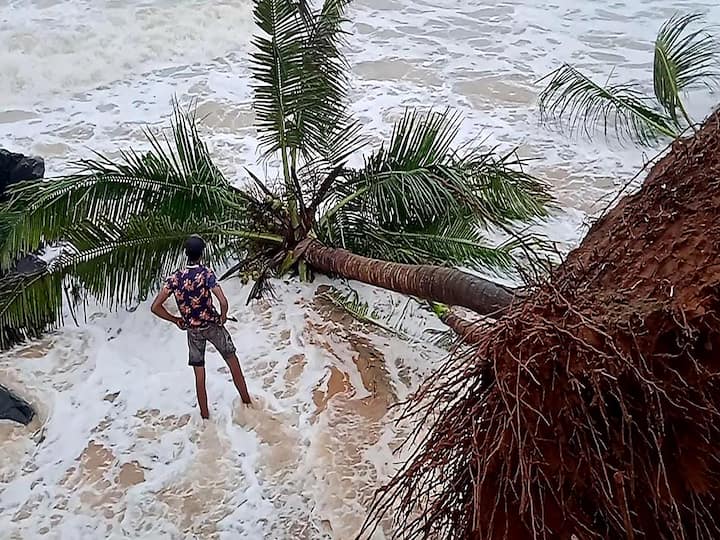 In Puducherry, a resident stands by an uprooted coconut tree after rainfall. On Friday, widespread moderate to heavy rains drenched several parts of Tamil Nadu, and the India Meteorological Department reported a well-defined low pressure system over the Bay of Bengal. Rainfall is anticipated to be heavy to very heavy in some areas of Tamil Nadu and Puducherry through November 13, according to the IMD. (Image Source: PTI)