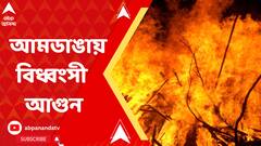 উত্তর ২৪ পরগনার আমডাঙায় ই-কমার্স সংস্থার গুদামে বিধ্বংসী আগুন