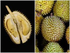 Durian Fruit: కుళ్లిపోయిన మాంసం వాసన వేసే పండు ఇది, అయినా ఇష్టంగా తింటారు