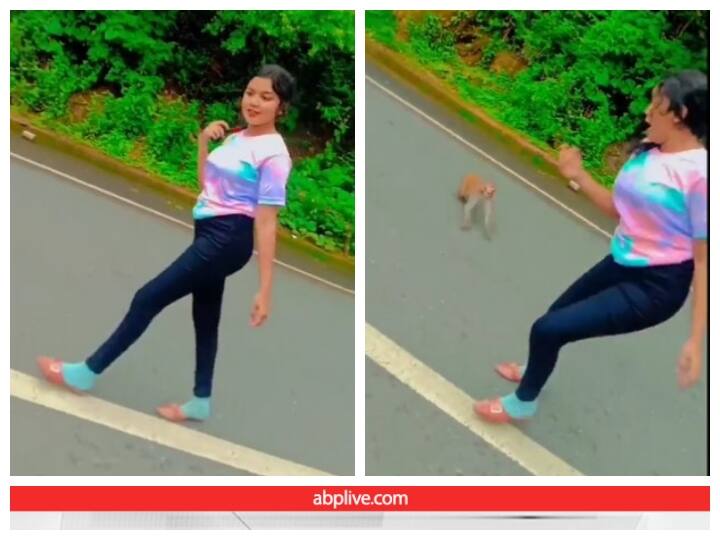 girl who was making reels on road was run over by a monkey Video: बंदर को पसंद नहीं आया लड़की का रील्स बनाना, डराकर भगाया