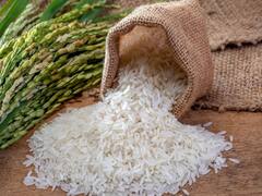 देशात धान्याचा तुटवडा भासणार नाही, तांदळाची मोठ्या प्रमाणात खरेदी : केंद्र सरकार  