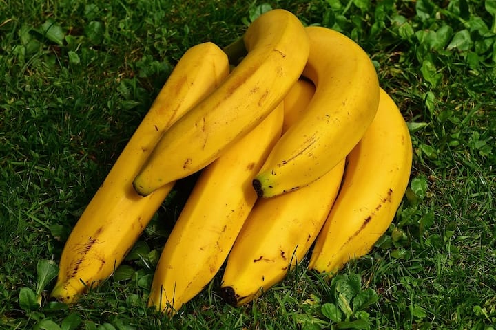 অনেক রোগ প্রতিরোধ করতে সাহায্য করে। অন্যান্য সমস্ত মানুষের মতো মধুমেহ রোগীদের জন্যও একেবারেই ক্ষতিকর নয় কলা। বরং, প্রাকৃতিক মিষ্টি হিসেবে কলা (Banana) খেতেই পারেন তাঁরা।