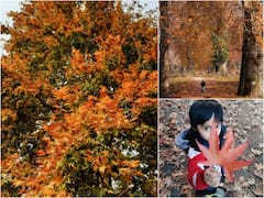 Jammu Kashmir: అందాల కశ్మీరం- జీవితంలో ఒక్కసారైనా చూడాల్సిన భూతల స్వర్గం!