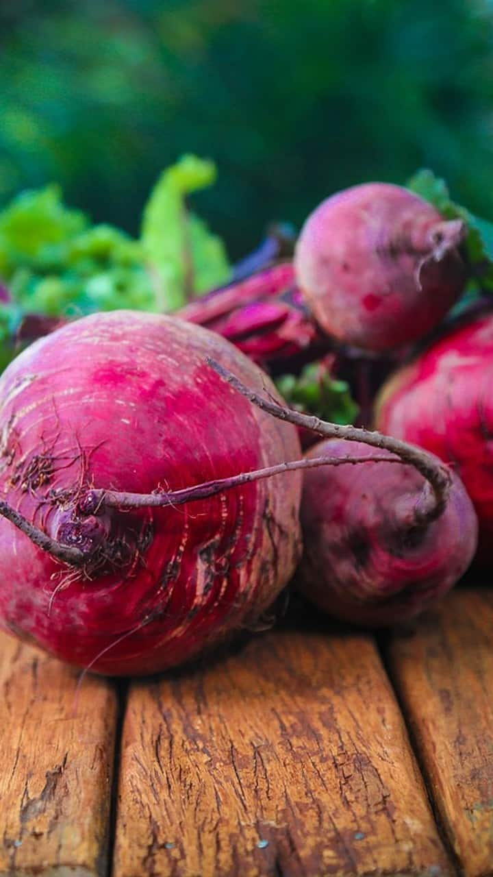 Winter food tips 5 benefits of beetroot why you should include it in your diet Health Tips: આ લાલ રંગના શાકને ડાયટમાં કરો સામેલ, આ 5 બીમારીથી મળશે છુટકારો