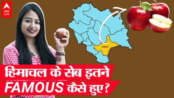 Himachal Pradesh Apple: 100 साल पहले नहीं उगते थे सेब फिर कैसे इतने famous हुए Shimla के सेब