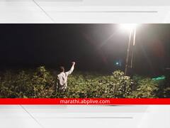 PHOTO:पांढऱ्या सोन्याची चोरी रोखण्यासाठी शेतकऱ्यांची भन्नाट आयडीया