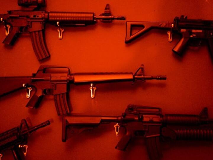 Punjab Gun Culture Govt Bans Public Display of Weapons Tightened Arms Regulation CM Bhagwant Mann Strict Instruction Punjab Gun Culture: గన్ కల్చర్‌పై పంజాబ్ ప్రభుత్వం సీరియస్, ఆంక్షలతో ఉక్కుపాదం