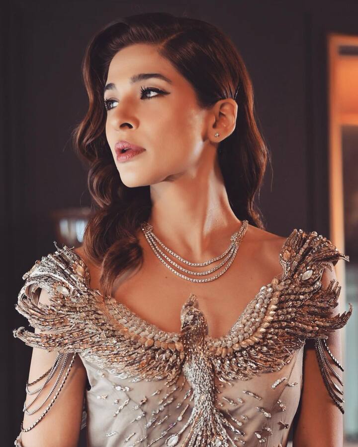 आयशा ने साल 2015 की फिल्म 'कराची टू लाहौर' से डेब्यू किया था वह, 'जिंदगी गुलजार है' में भी नजर आई थीं.