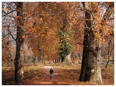 Jammu Kashmir: అందాల కశ్మీరం- జీవితంలో ఒక్కసారైనా చూడాల్సిన భూతల స్వర్గం!