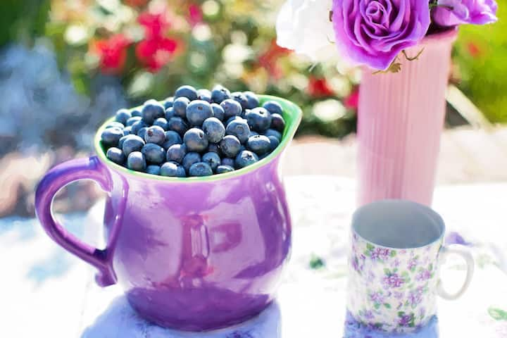 Blueberry Beauty Benefits: ব্লুবেরি ফলের মধ্যে রয়েছে অনেক গুণ। তবে শুধু স্বাস্থ্য ভাল রাখতেই এই ফল কাজে লাগে না। এর পাশাপাশি ব্লুবেরির মাধ্যমে ত্বকের পরিচর্যাও করা সম্ভব।