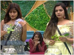 Bigg Boss 6 Telugu: ఆ ఇద్దరిలో ఒకరు అవుట్ - మళ్లీ మెరీనా సేఫ్?