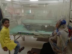 हाईकोर्ट की फटकार के बावजूद प्रयागराज में सुधर नहीं रहे हैं डेंगू के हालात, मरीजों की संख्या पहुंची 1200 के पार