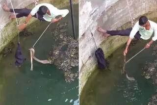 Snake Video: ਜ਼ਹਿਰੀਲੇ ਸੱਪ ਨੂੰ ਬਚਾਉਣ ਲਈ ਜਾਨ ਖਤਰੇ 'ਚ ਪਾ ਰਿਹਾ ਵਿਅਕਤੀ, ਵੀਡੀਓ ਦੇਖ ਕੇ ਉੱਡ ਜਾਣਗੇ ਹੋਸ਼
