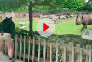 Viral Video: ਆਪਣੇ ਰੱਖਿਅਕ ਨੂੰ ਦੇਖ ਕੇ ਖੁਸ਼ੀ ਨਾਲ ਛਾਲਾਂ ਮਾਰਣ ਲਗਇਆ ਗੈਂਡੇ, ਦੇਖੋ ਉਸਦਾ ਦਿਲ ਜਿੱਤਣ ਵਾਲਾ ਪ੍ਰਤੀਕਰਮ