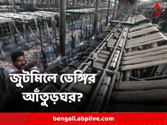 জুট মিল, কারখানাগুলি থেকেই ছড়াচ্ছে ডেঙ্গি! দাবি ভাটপাড়া পুরসভার