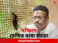 উত্তরের তুলনায় দক্ষিণ কলকাতায় ভয়ঙ্কর ডেঙ্গি, মেয়রের ওয়ার্ডেই আক্রান্ত ১১১