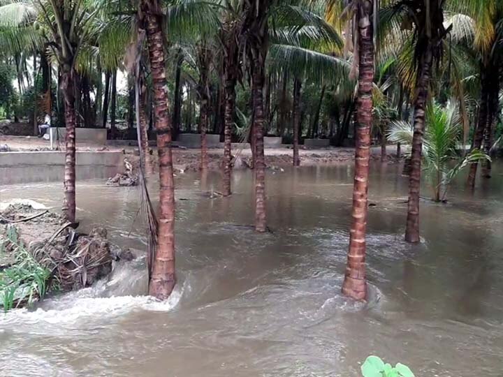 பழனியில் பலத்த மழை; சண்முகாநதி கரையோர மக்களுக்கு வெள்ள அபாய எச்சரிக்கை