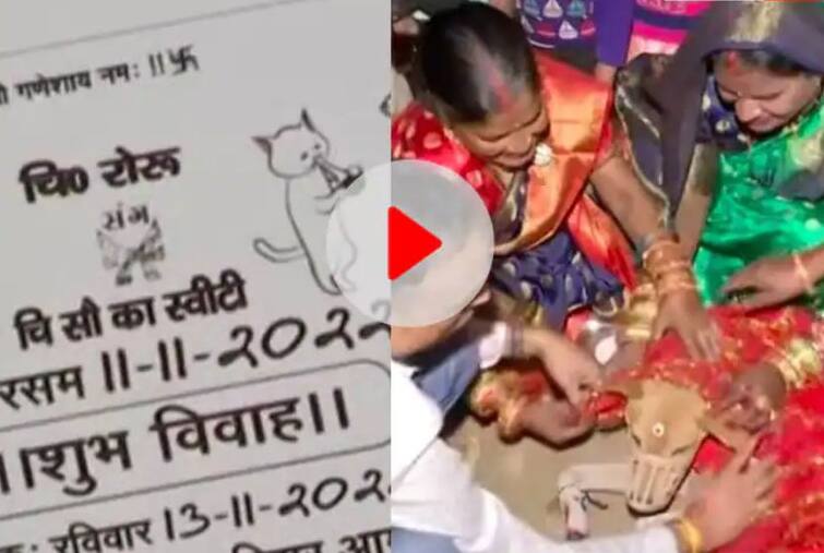 gurugram pet owner couple organize wedding of pet dogs viral video Weird News: ਬੈਂਡ, ਬਾਜਾ, ਬਾਰਾਤ ਨਾਲ ਹੋਈਆ ਦੋ ਕੁੱਤਿਆਂ ਦਾ ਵਿਆਹ, ਸੱਦਾ ਪੱਤਰ ਭੇਜ ਕੇ ਬੁਲਾਈ ਗਈ ਬਾਰਾਤ