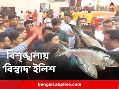 তৃণমূল কাউন্সিলর আয়োজিত ইলিশ উৎসবে বিশৃঙ্খলা, ৫০০টাকার কুপন কেটেও পাতে পড়ল না রুপোলি শস্য