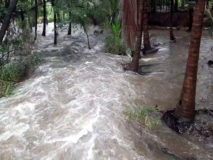 பழனியில் பலத்த மழை; சண்முகாநதி கரையோர மக்களுக்கு வெள்ள அபாய எச்சரிக்கை