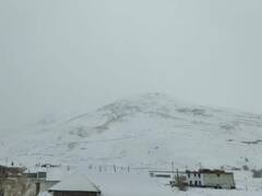 हिमाचल के चार जिलों में बर्फबारी, तापमान में भारी गिरावट, जानें- अगले 3 दिन कैसा रहेगा मौसम?