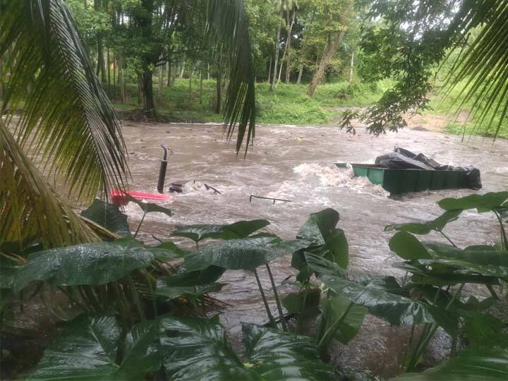 Heavy rains in Theni district have increased water flow in rivers and dams TNN தேனியில் கனமழை எதிரொலியால் ஆறுகள் , அணைகளில் நீர் வரத்து அதிகரிப்பு