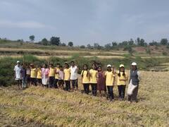 बेळगाव : मराठी विद्यानिकेतन शाळेच्या विद्यार्थ्यांनी घेतला भात कापणीचा अनुभव