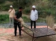 मजुरांची कमतरता असल्याने मजुरीचे दर वाढले आहेत. त्यामुळे कुटुंबियांनी एकत्र येत भात काढणी केली आहे.