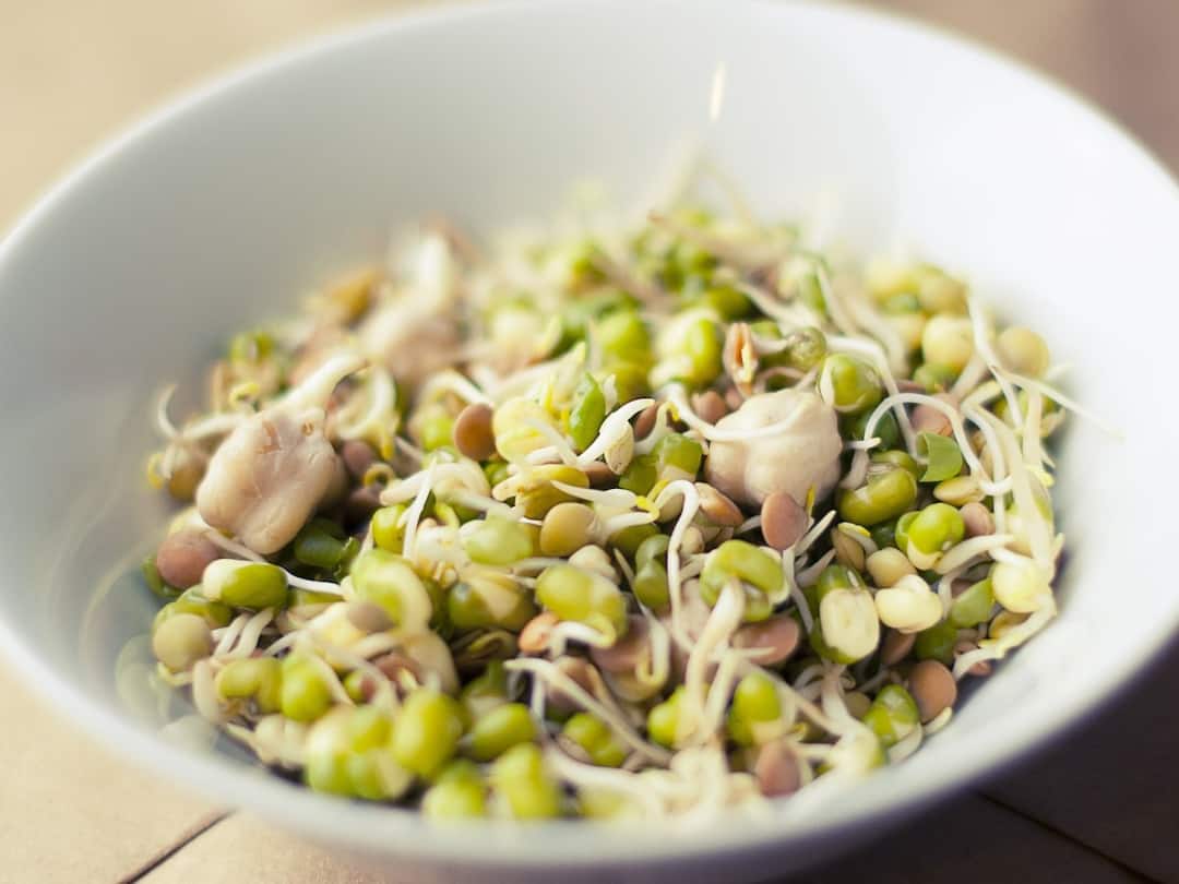 These Five Dals You Can Easily Sprouts And Eat Daily For Health Benefits Sprouts: ఈ ఐదు మొలకెత్తిన గింజలు తింటే ఆరోగ్యమే కాదు బరువు తగ్గుతారు