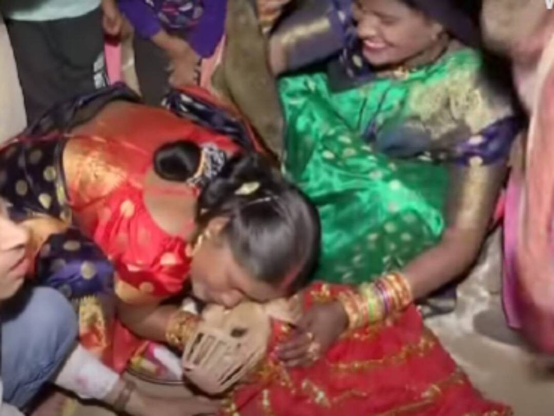 Watch Video : பாரம்பரிய முறைப்படி செல்ல நாய்களுக்கு திருமணம்.. இது புதுசு.. வைரலாகும் வீடியோ...