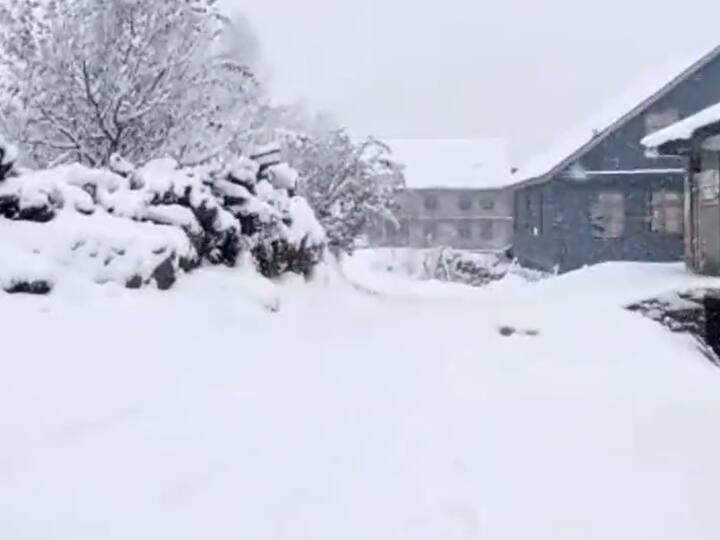 WATCH Fresh Snowfall In Himachal Pradesh And Jammu & Kashmir IMD Spiti Blizzard Jammu & Kashmir, Himachal Receive Fresh Snowfall, Temperatures Dip. Watch Videos