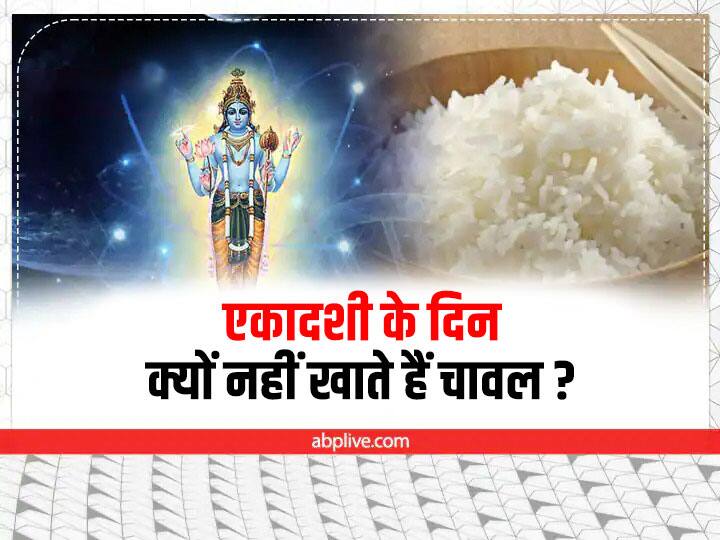 Ekadashi Niyam: एकादशी के दिन क्यों नहीं खाते हैं चावल? वजह जानकार अभी रह जाएंगे हैरान ekadashi fasting rules know why you should not consume rice on ekadashi tithi Ekadashi Niyam: एकादशी के दिन क्यों नहीं खाते हैं चावल? वजह जानकार अभी रह जाएंगे हैरान