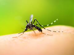 Dengue: রাজ্যে উদ্বেগ বাড়াচ্ছে ডেঙ্গি পরিস্থিতি, মেয়রের পদত্যাগ দাবি করে বিজেপি যুব মোর্চার উত্তর কলকাতা শাখার মিছিল