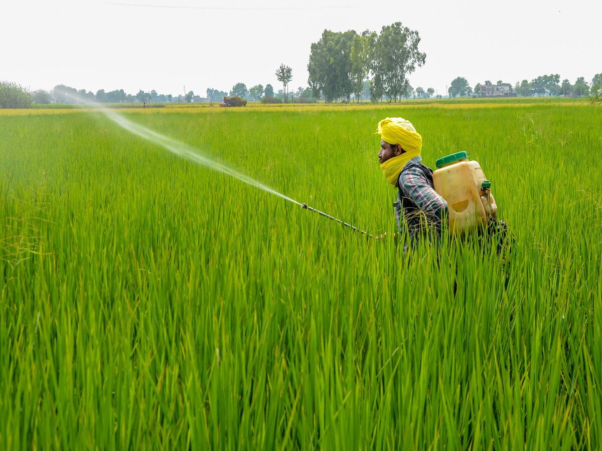 PM Kisan Samman Nidhi: ખેડૂતો ન કરે આ ભૂલ, નહીંતર નહીં આવે પીએમ કિસાન સન્માન નિધિનો હપ્તો