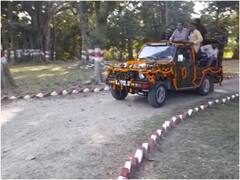 अमानगढ़ टाइगर रिजर्व में शुरू हो गई जंगल सफारी, पहले दिन स्कूली बच्चों की लगी भीड़