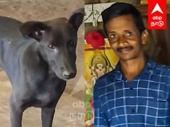 Pet Dog Helps Owner: காணாமல்போன எஜமானர்...!- உயிரை காப்பாற்றிய செல்லநாய்...!