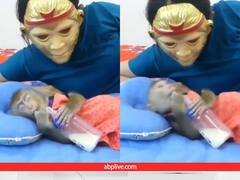 महिला ने किया बेबी मंकी के साथ प्रैंक, हथेली पर आई जान