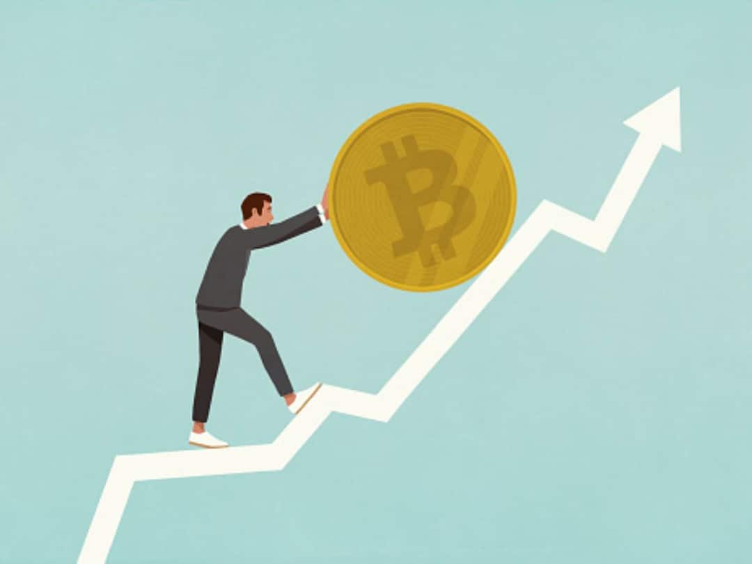 Cryptocurrency Price Today: Bitcoin, Ethereum Recover As Most Altcoins Register Minor Gains cryptocurrency price today in india November 15 check market cap bitcoin ethereum merge dogecoin solana litecoin ripple XRP binance FTX FTT token prices gainer loser Cryptocurrency Price Today: Bitcoin, Ethereum Recover As Most Altcoins Register Minor Gains