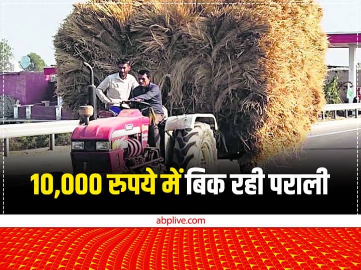Farmers selling stubble to haryana parali mandu UP sugarcane mills and gaushalas at Rs 10,000 per acre Stubble Management: इस राज्य में 10,000 रुपये प्रति एकड़ के भाव बिक रही पराली, ट्रॉलियां भर-भरकर ला रहे किसान