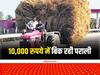 Stubble Management: इस राज्य में 10,000 रुपये प्रति एकड़ के भाव बिक रही पराली, ट्रॉलियां भर-भरकर ला रहे किसान