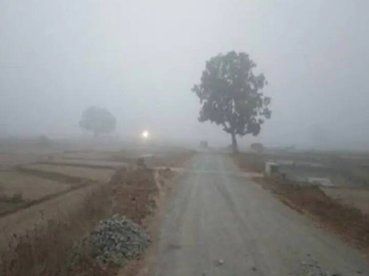 Chhattisgarh Weather Update Surguja Bastar division colder know where temperature maximum minimum ANN Chhattisgarh में आने वाली हैं सर्द हवाएं, पड़ने वाली है कड़ाके की ठंड, जानिए-कैसा रहेगा मौसम