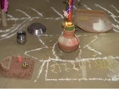 Sheru Weds Sweety: Dhols, Baraatis And Haldi Ceremony Marks The Wedding Of Gurugram Pet Dogs