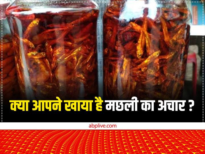 Chhattisgarh News Fish pickle made by the women of Rajnandgaon in Chhattisgarh, know its price Chhattisgarh: क्या आपने कभी खाया है मछली का अचार? कीमत जानकर तो चौंक ही जाएंगे