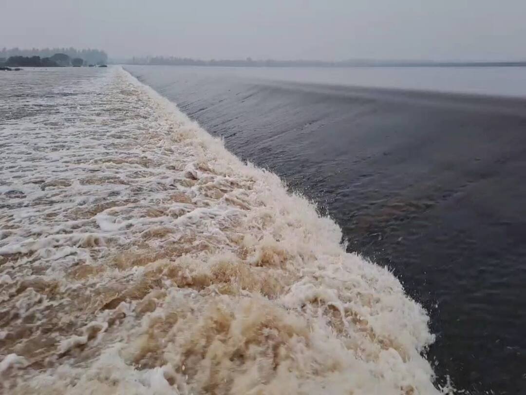 'ஓ இவ்வளவு தண்ணீர் கடலில் கலக்கிறதா..?'; பாலாற்றில் இருந்து தொடர்ந்து வெளியேறும் நீர்..! Palar has been in full flow this monsoon and Vayalur check dam in the tail end of the river was filled TNN 'ஓ இவ்வளவு தண்ணீர் கடலில் கலக்கிறதா..?'; பாலாற்றில் இருந்து தொடர்ந்து வெளியேறும் நீர்..!