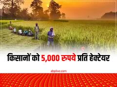 सेहत भी, कमाई भी! इस राज्य में प्राकृतिक खेती के लिए 5,000 रुपये देगी सरकार, यहां जानें पूरा प्लान
